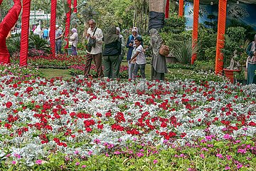 Ausstellung Ägypten-Sprüche Blumen