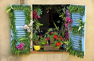 Blumenfenster in Südfrankreich