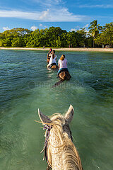 FRANCE  WEST INDIES  GUADELOUPE  MARIE-GALANTE ISLAND  GRAND-BOURG  HORSE BATHING IN THE BEBES BEACH LAGOON