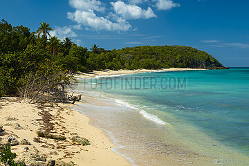 FRANCE  WEST INDIES  GUADELOUPE  MARIE-GALANTE ISLAND  OLD FORT BEACH
