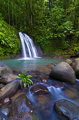 FRANCE  WEST INDIES  GUADELOUPE ISLAND  GUADELOUPE NATIONAL PARK  CASCADE AUX ECREVISSES WATERFALL