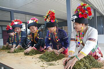 China-Yunnan-Xishuangbanna-Tea-Industrie (CN)