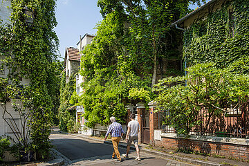 FRANCE. PARIS (75) 13 TH ARRONDISSEMENT. THE FLORAL CITY  MICRO DISTRICT (BUILD IN 1928) OF SMALL HOUSES  FLOWERED. WISTERIA STREET