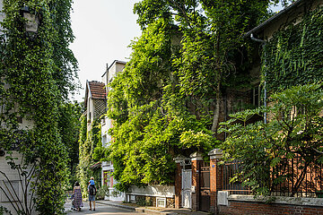 FRANCE. PARIS (75) 13 TH ARRONDISSEMENT. THE FLORAL CITY  MICRO DISTRICT (BUILD IN 1928) OF SMALL HOUSES  FLOWERED. WISTERIA STREET