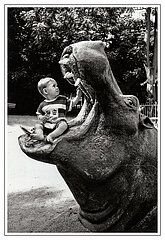 PARIS (75) JARDIN DES PLANTES (PLANT GARDEN ZOO -1995). A CHILD IN THE MOUTH OF A HIPPO STATUE MODEL RELEASE OK