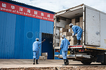 China-Kenya-Anchovy Import