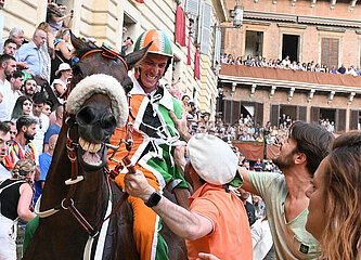 Italien-Siena-Pferd Rasse