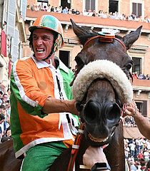Italien-Siena-Pferd Rasse