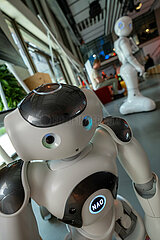 Deutschland  Bremen - Mit KI ausgestattete Roboter im Transferzentrum fuer Kuenstliche Intelligenz BREMEN.AI (fuer Transfer zwischen Wirtschaft und Wissenschaft)