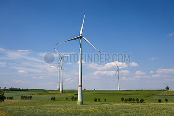 Windpark  Lichtenau  Nordrhein-Westfalen  Deutschland  Europa