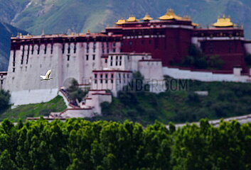 China-Tibet-Lhasa-Lhalu-Feuchtgebiet (CN)