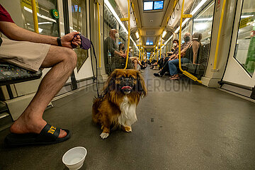 Deutschland  Berlin - Passagier mit Hund In einer U-Bahn
