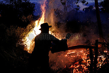 Indonesien-Riau-Peatland-Feuer