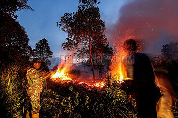 Indonesien-Riau-Peatland-Feuer
