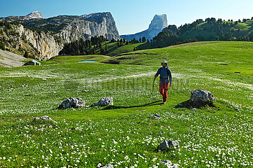 FRANCE. ISERE (38) VERCORS NATURAL PARK. ALPAGE DES CHAUMAILLOUX IN FULL BLOOM  IN FRONT OF MONT AIGUILLE (2067M)