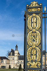 FRANCE. SEINE-ET-MARNE (77). FONTAINEBLEAU. THE CASTLE. DETAIL OF THE ENTRANCE GATE IN THE HONOR COURTYARD: ONE OF THE METAL PILASTERS  DECORATED WITH THUNDERBOLTS FRAMING NAPOLEON'S CROWNED MONOGRAM (THE THREE EMBLEMS ARE SURROUNDED BY PALMS OF VICTORY)