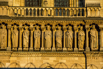 FRANCE. PARIS (75) NOTRE-DAME CATHEDRAL DURING ITS REFURBISHMENT