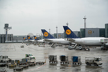 Frankfurt  Deutschland  Passagierflugzeuge der Lufthansa parken am Terminal 1 auf dem Frankfurter Flughafen