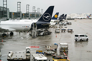 Frankfurt  Deutschland  Passagierflugzeuge der Lufthansa parken am Terminal 1 auf dem Frankfurter Flughafen