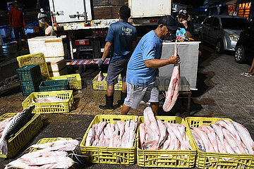 Brasilien-Belem-Fisch-Markt