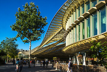 FRANCE. PARIS (75) 1ST DISTRICT. THE FORUM DES HALLES  HEART OF PARIS. THE NELSON MANDELA GARDEN AND ITS WATER GARDEN IN FRONT OF THE CANOPY (ARCHITECTS : PATRICK BERGER AND JACQUES ANZIUTTI)