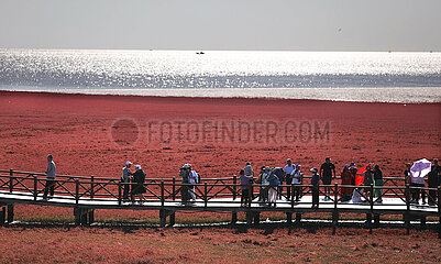 China-Liaoning-Panjin-rote Strandtourismus (CN)