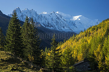 FRANCE. HAUTE-SAVOIE (74) CHAMONIX  THE PEAKS OF CHAMONIX  THE PEAK OF MIDI  THE MONT-BLANC  THE DOME AND THE PEAK OF THE GOUTER FROM TRE-LE-CHAMP