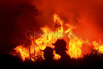 Indonesien-Süd-Sumatra-Peatland-Feuer