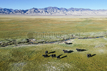 China-Xinjiang-Altun Mountains-nature Reserve (CN)
