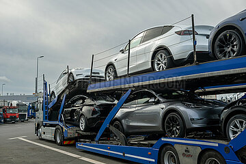 Deutschland  Gruenheide - Teslas auf Autotransporter vor der Tesla Gigafactory Berlin-Brandenburg