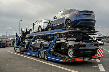 Deutschland  Gruenheide - Teslas auf Autotransporter vor der Tesla Gigafactory Berlin-Brandenburg