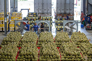 Thailand-Vietnam-China-RCEP-Durian-Handel