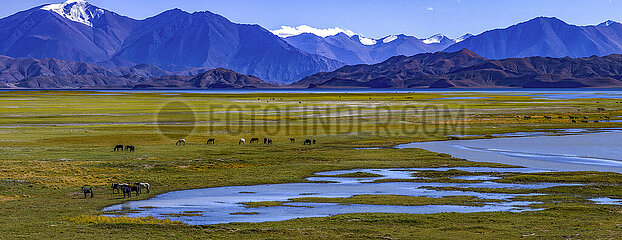 China-Tibet-Umwelt-Banggong Co (CN)
