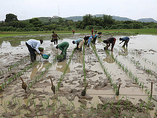 NIGERIA-ABUJA-CHINA-AGRICULTURAL TECHNOLOGY-DEMONSTRATION CENTER