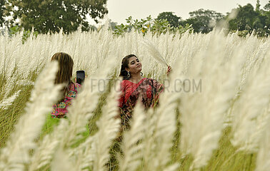 BANGLADESH-DHAKA-KANS-GRASS