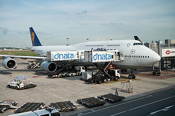 Singapur  Republik Singapur  Boeing 747-8 Passagierflugzeug der Lufthansa am Gate des Terminal 2 auf dem Flughafen Changi