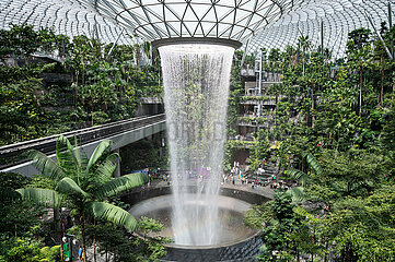 Singapur  Republik Singapur  Indoor-Wasserfall Rain Vortex im Forest Valley am Flughafen Jewel Changi