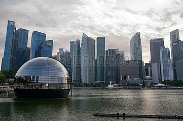 Singapur  Republik Singapur  Neues Apple Vorzeigegeschaeft (Flagshipstore) vor dem Geschaeftsviertel in Marina Bay