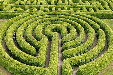 Hainbuchenlabyrinth