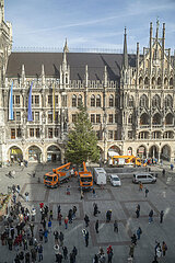 Weihnachtsbaum am Marienplatz in München vor dem Rathaus