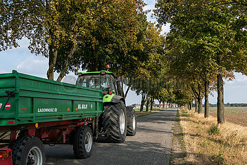 Polen  Czerlejno - Traktor auf einer Landstrasse