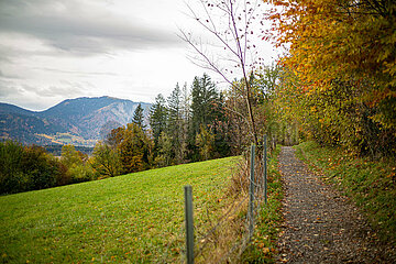 Nasser Herbstspaziergang in Murnau
