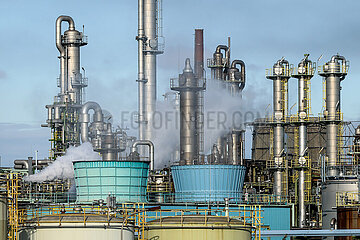 Industrieanlage im Chemiepark  OQ Chemicals Werk Ruhrchemie  Oberhausen  Nordrhein-Westfalen  Deutschland