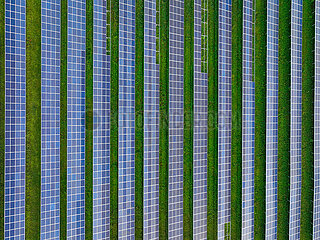 Solarpark Oberseifersdorf  Zittau  Sachsen  Deutschland  Europa