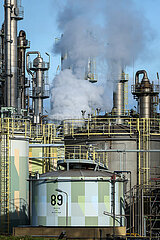 Industrieanlage im Chemiepark  OQ Chemicals Werk Ruhrchemie  Oberhausen  Nordrhein-Westfalen  Deutschland