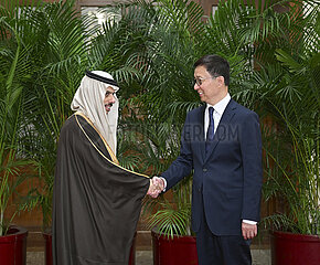 CHINA-BEIJING-HAN ZHENG-ARAB AND ISLAMIC FOREIGN MINISTERS-MEETING (CN)