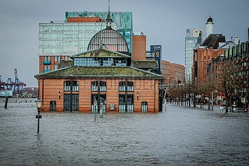 Hochwasser Fischmarkt Hamburg