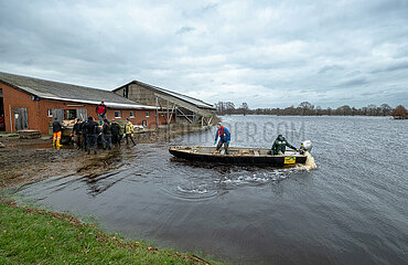 Deutschland  Lilienthal - Landwirte transportieren Sandsaecke per Boot zu durchweichtem Deich beim Hochwasser an der Wuemme