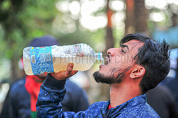Nipah virus: Health department warns against consuming raw date juice in Bangladesh