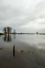 Deutschland  Bremen - ueberschwemmte Landschaft (Polder) beim Hochwasser an der Wuemme  vorne der Deich  Blick Richtung Niedersachsen